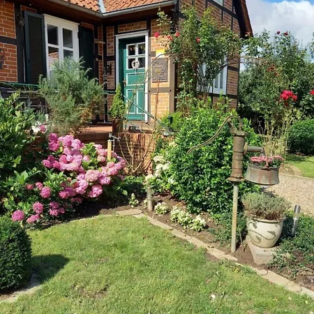 بيت للعطل Haus Elbrose Inmitten Von Rosen Mit Elbdeichzugang By Interhome Lenzerwische