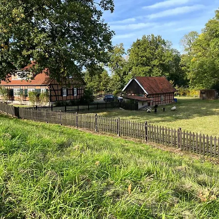 Haus Elbrose Inmitten Von Rosen Mit Elbdeichzugang By Interhome