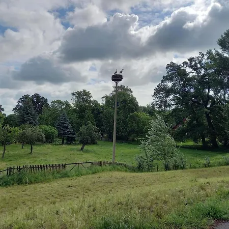 Haus Elbrose Inmitten Von Rosen Mit Elbdeichzugang By Interhome * Lenzerwische