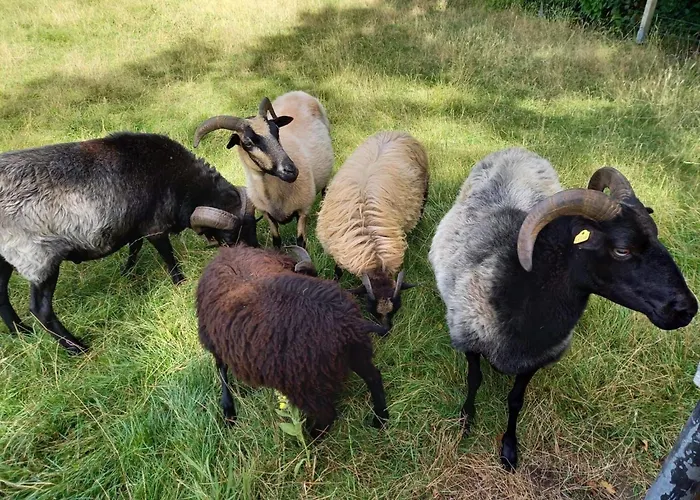 Haus Elbrose Inmitten Von Rosen Mit Elbdeichzugang By Interhome Сasa de vacaciones