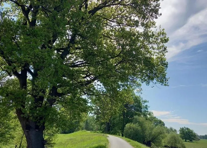 Сasa de vacaciones Haus Elbrose Inmitten Von Rosen Mit Elbdeichzugang By Interhome *