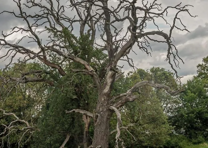 Haus Elbrose Inmitten Von Rosen Mit Elbdeichzugang By Interhome Сasa de vacaciones Lenzerwische