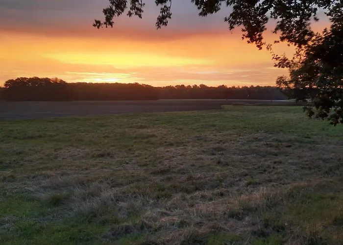 Сasa de vacaciones Haus Elbrose Inmitten Von Rosen Mit Elbdeichzugang By Interhome
